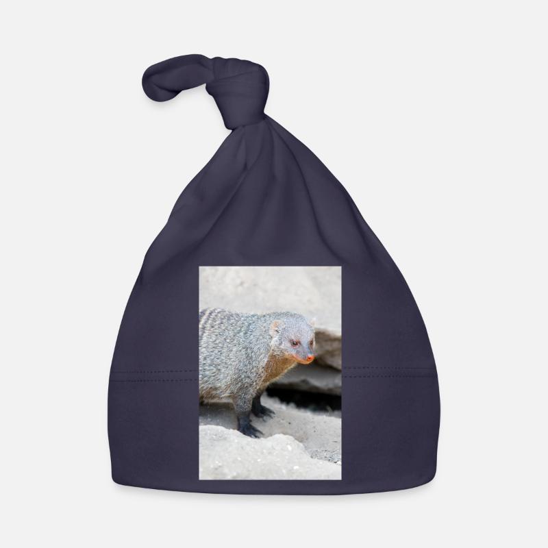 Gebänderte Manguste oder Zebramanguste Baby Bio-Mütze