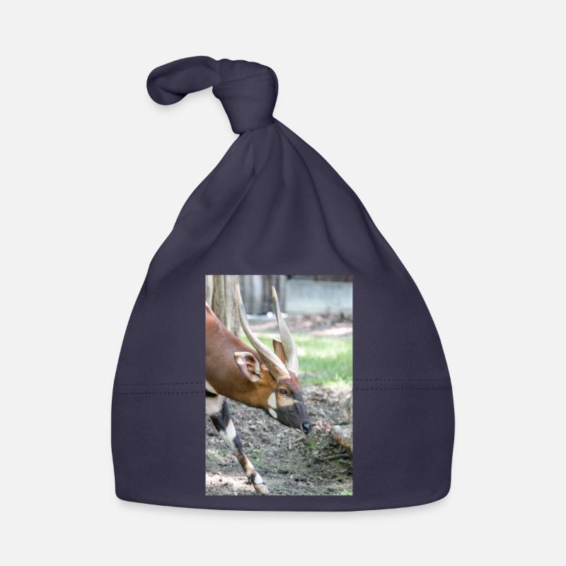 Eastern Bongo (in german Bongo) Tragelaphus euryce Organic Baby Cap