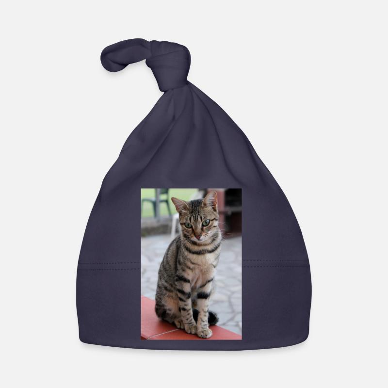 Chat Chaton Poster Chat Poster Bonnet bio Bébé