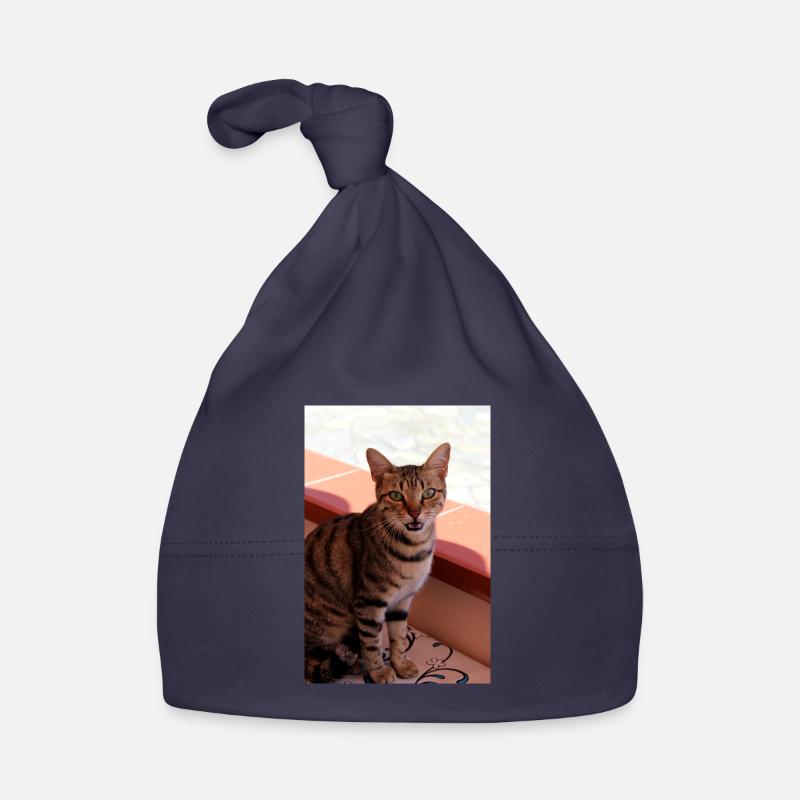 chat, chaton Bonnet bio Bébé