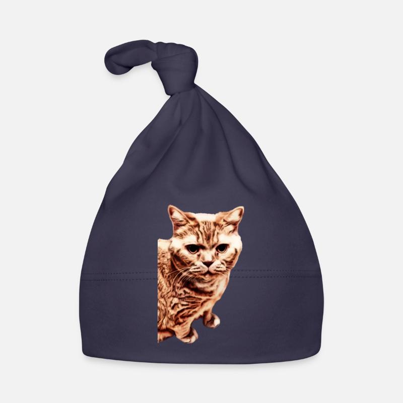 Chat British Shorthair Bonnet bio Bébé