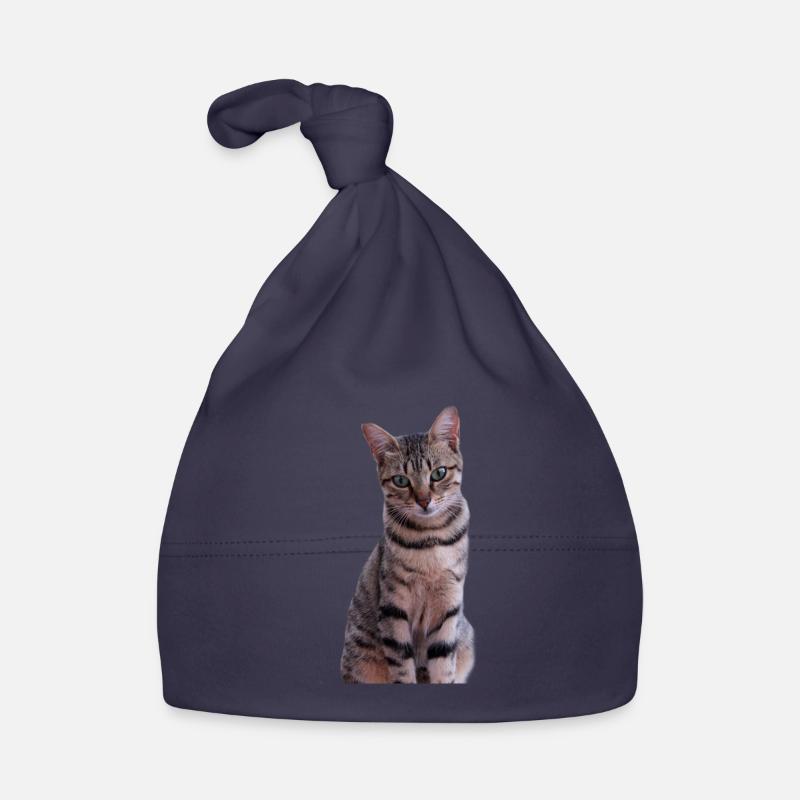 Chaton chat Bonnet bio Bébé