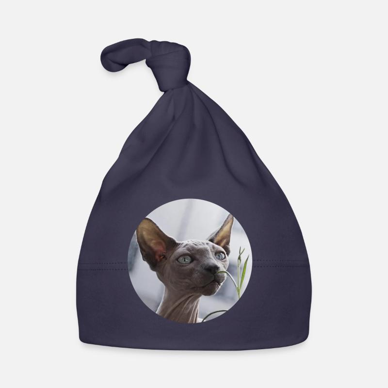Nacktkatze don Sphynx Katze Baby Bio-Mütze