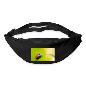 ladybug - Bum bag - black - Front