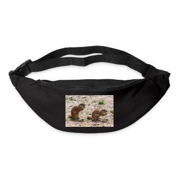 African ground squirrels Borstenhörnchen Xerus - Bum bag - black - Front