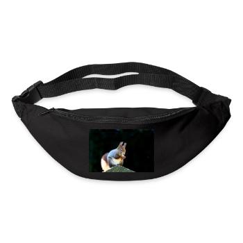 Eichhörnchen, Isibat - Gürteltasche - Schwarz - Vorne
