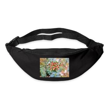 blooming colorful Wolfsmilch (Euphorbia) flower - Bum bag - black - Front