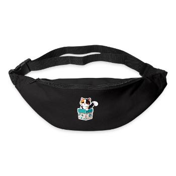 Chat dans une boite , avec son pelage lumineux - Sac banane - noir - Devant