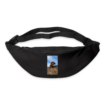 PXL 20221217 140939962 - Sac banane - noir - Devant