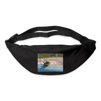 Eupholidoptera Eupholidoptera chabrieri - Bum bag - black - Front