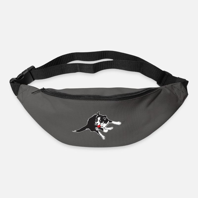 Flyball2 - Gürteltasche - Graphite