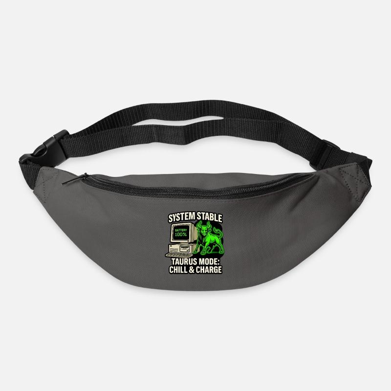 System Stable Taurus Mode Chill & Charge - Gürteltasche - Graphite