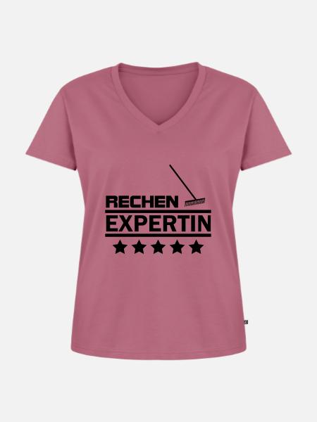 rechen expertin - Frauen Premium Bio T-Shirt mit V-Ausschnitt - Mauve