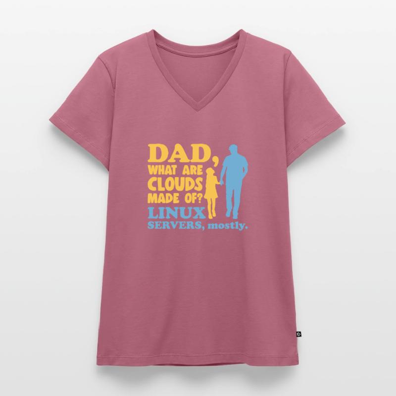 Cloud Computing Informatik Tech Frauen Premium Bio T-Shirt mit V-Ausschnitt