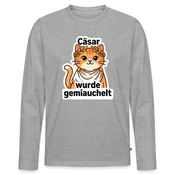 Geschichtslehrer Cäsar Katze - Historiker Geschenk - Männer Premium Bio Langarmshirt - Grau meliert - Vorne - Nico (187cm)