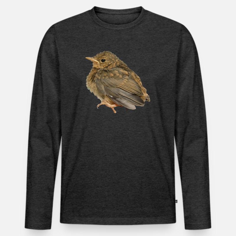Rotkehlchen Ästling - Männer Premium Bio Langarmshirt - Anthrazit meliert