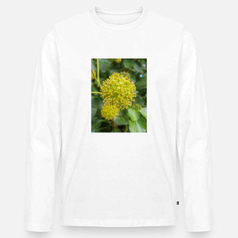Persischer Efeu (Kolchischer Efeu) - Männer Premium Bio Langarmshirt - Weiß