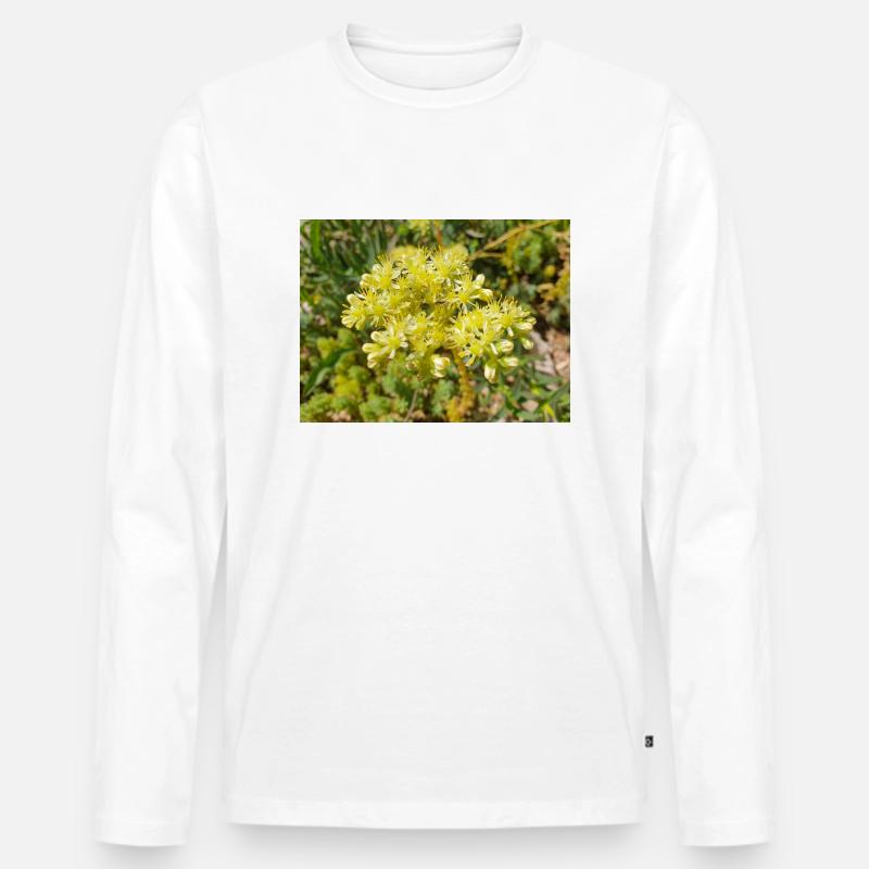 Heller Mauerpfeffer (auf deutsch Nizza-Mauerpfeffer) - Männer Premium Bio Langarmshirt - Weiß