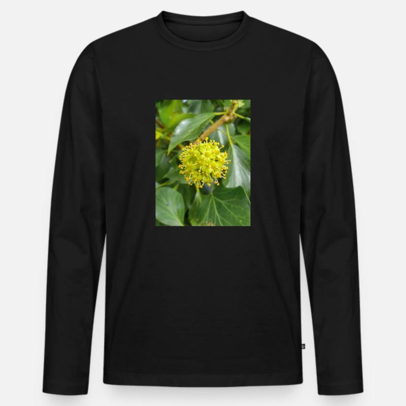 Persischer Efeu (Kolchischer Efeu) - Männer Premium Bio Langarmshirt - Schwarz
