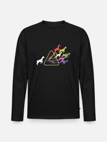 Lama Prism Rainbow Light Física divertida - Camiseta ecológica prémium de manga larga para hombre - negro