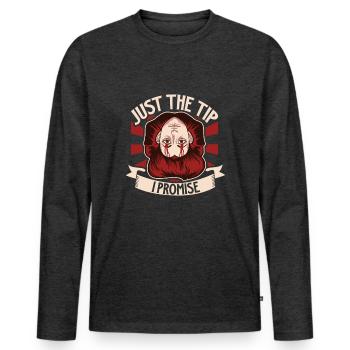 True Crime Murder Spy Crime Intérêt Idée cadeau - T-shirt manches longues Premium bio Homme - anthracite chiné - Devant - Nico (187cm)