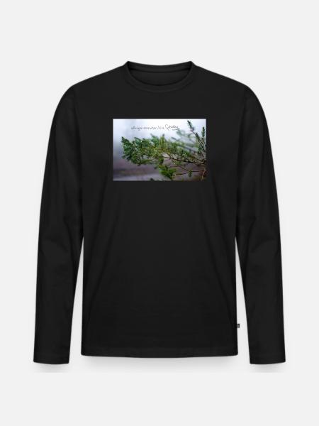 fabiolous world Regenzeit - Männer Premium Bio Langarmshirt - Schwarz