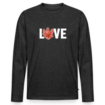 Amour géologue Rockhounding Mineral Collector - T-shirt manches longues Premium bio Homme - anthracite chiné - Devant - Nico (187cm)