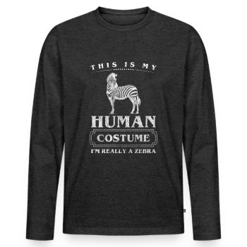 Zebra Natur Steppe Prärie - Männer Premium Bio Langarmshirt - Anthrazit meliert - Vorne - Nico (187cm)