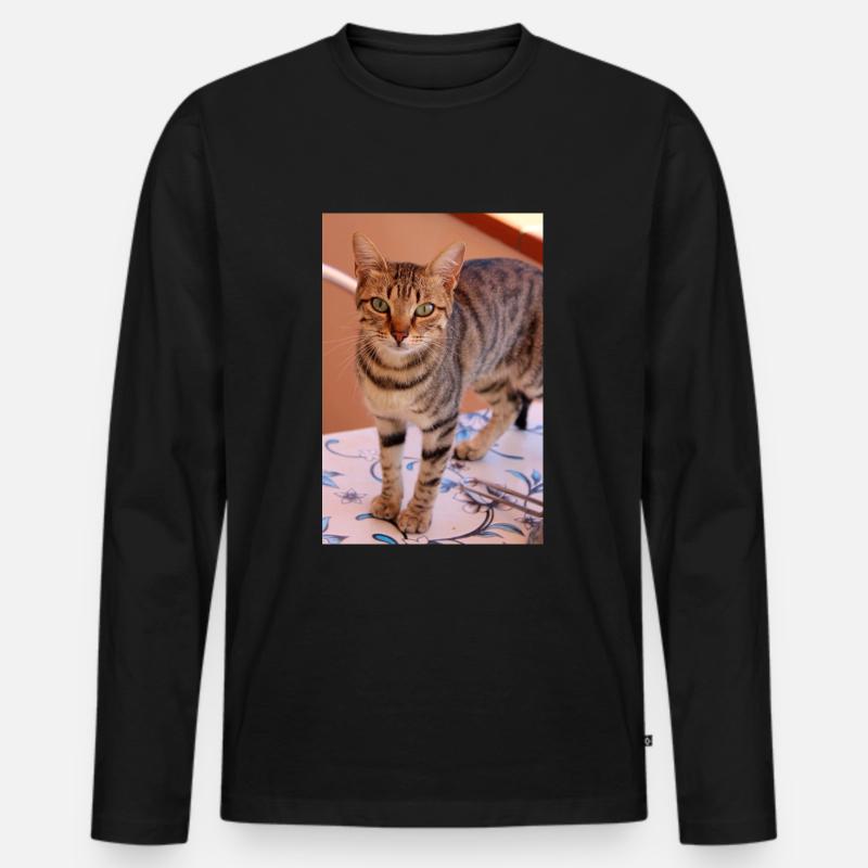 Katze, Kätzchen - Männer Premium Bio Langarmshirt - Schwarz