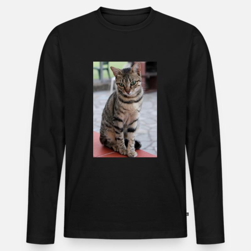 Katze, Kätzchen - Männer Premium Bio Langarmshirt - Schwarz