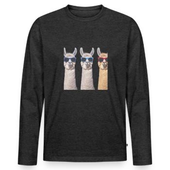 Équipe de l’équipe Alpaga Gang - T-shirt manches longues Premium bio Homme - anthracite chiné - Devant - Nico (187cm)