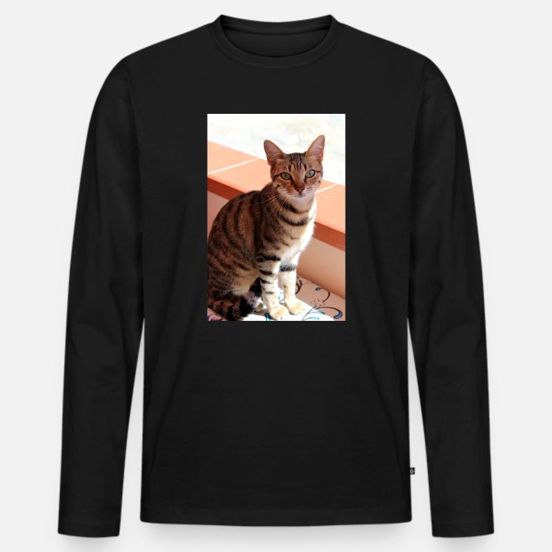 Katze Kätzchen - Männer Premium Bio Langarmshirt - Schwarz