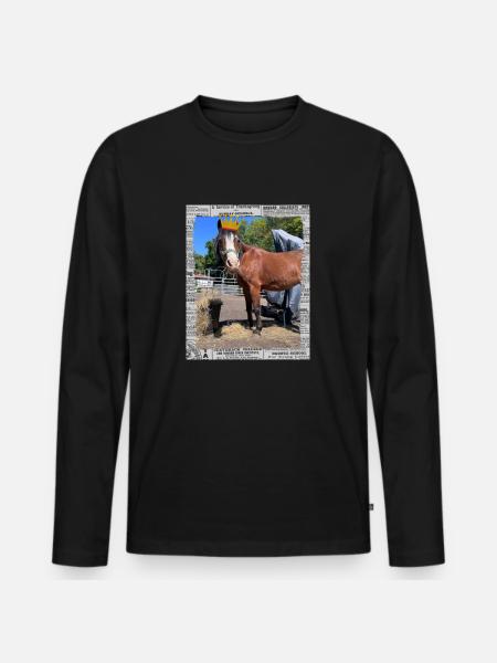 Sunny Princess - Männer Premium Bio Langarmshirt - Schwarz