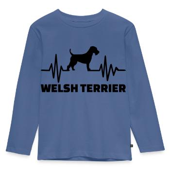 Welsh Terrier - Kids' Premium Longsleeve Shirt - stone blue - Front - AI Model Kid Female (0cm)