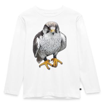 Prachtfalke Portrait Druck - Kinder Premium Bio Langarmshirt - Weiß - Vorne - AI Model Kid Female (0cm)