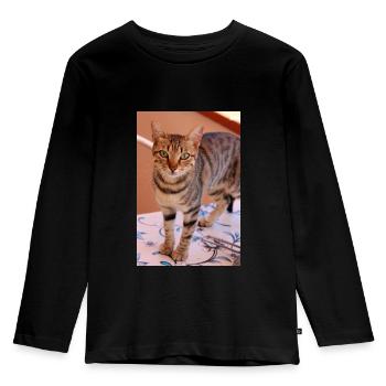 cat, kitten - Kids' Premium Longsleeve Shirt - black - Front - AI Model Kid Male (0cm)