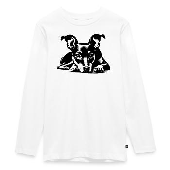 Pinscher nain - T-shirt manches longues Premium Ado - blanc - Devant - AI Model Kid Female (0cm)