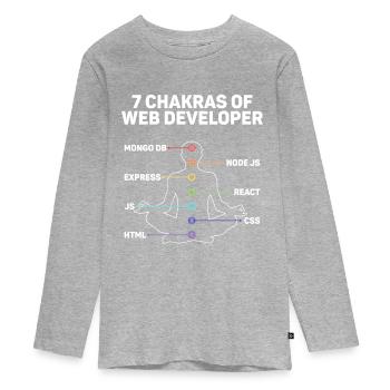 Développement de sites Web pour développeurs Web - T-shirt manches longues Premium Ado - gris chiné - Devant