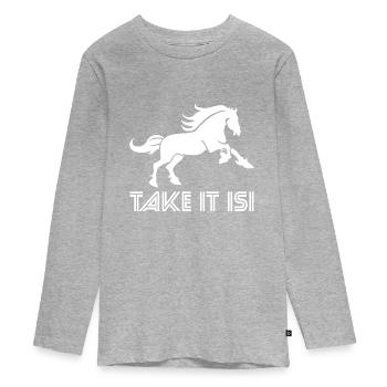 Islandpferd - Teenager Premium Bio Langarmshirt - Grau meliert - Vorne