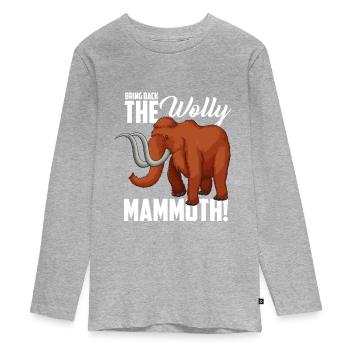 Mammoth - Teenager Premium Organic Long Sleeve Shirt - heather grey - Front