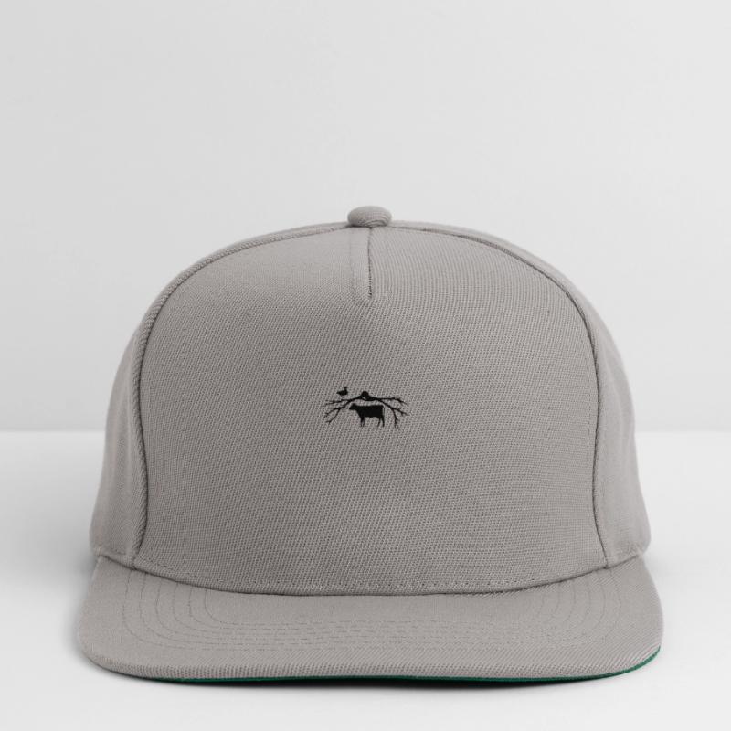 Math Math Teacher Physicist Computer Scientist Formula Snapback Cap