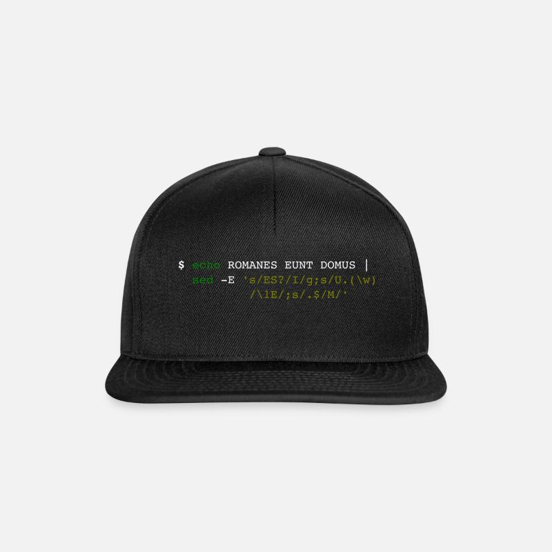 Romanes Eunt Domus - Snapback Cap - Schwarz/Schwarz