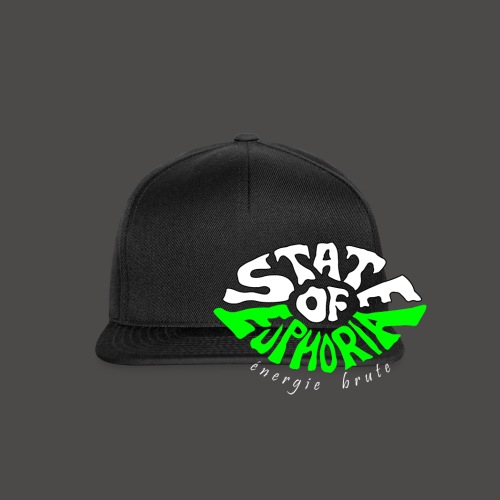 SOE logo - Snapback Cap