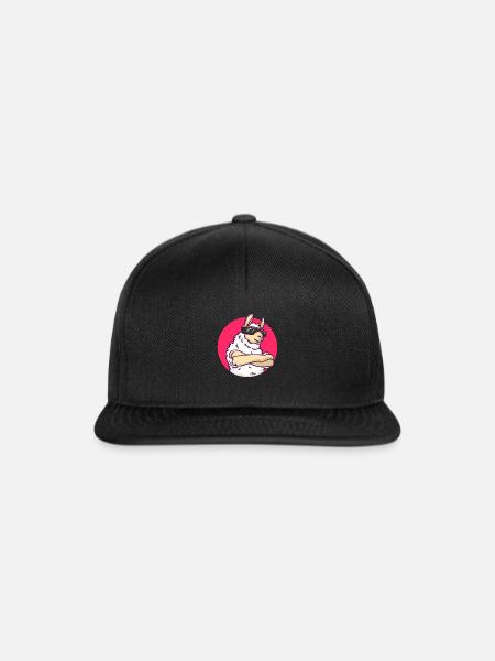 Cool Lama - Sonnenbrille - Geschenk - Snapback Cap - Schwarz/Schwarz