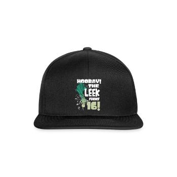 16ème jour BHooray Le poireau a 16 ans - Casquette snapback - noir/noir - Devant