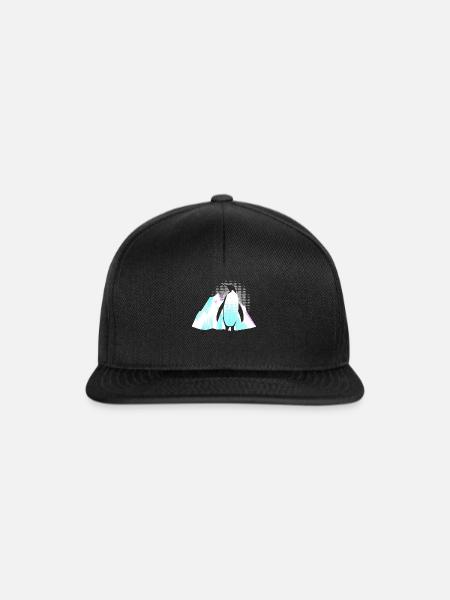 Pinguin Eisberg - Snapback Cap - Schwarz/Schwarz
