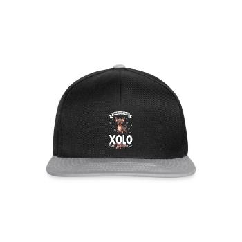 Xoloitzcuintle Mama - Snapback Cap - Schwarz/Grau - Vorne