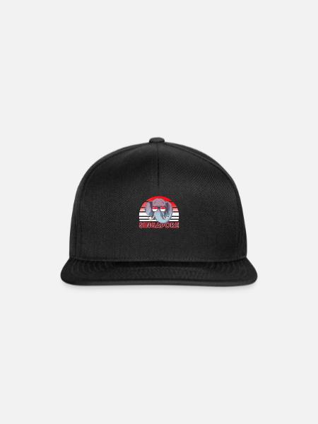 Singapur - Snapback Cap - Schwarz/Schwarz