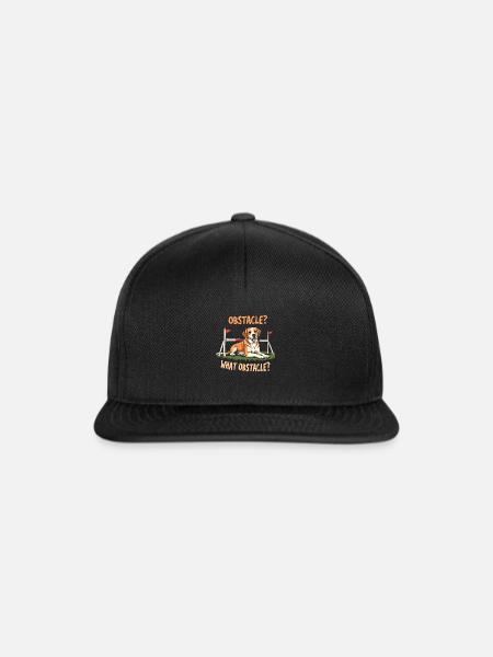 Agility - Snapback Cap - Schwarz/Schwarz