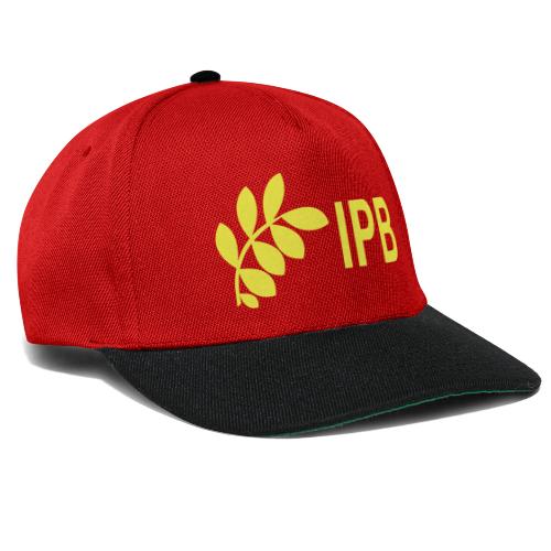 International Peace Bureau IPB version 4 - Snapback Cap